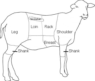 lamb diagram