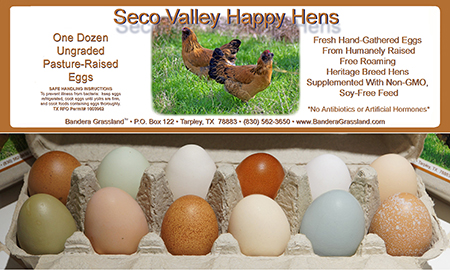 pasture raised eggs