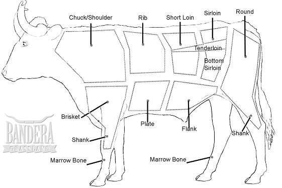 Beef Diagram